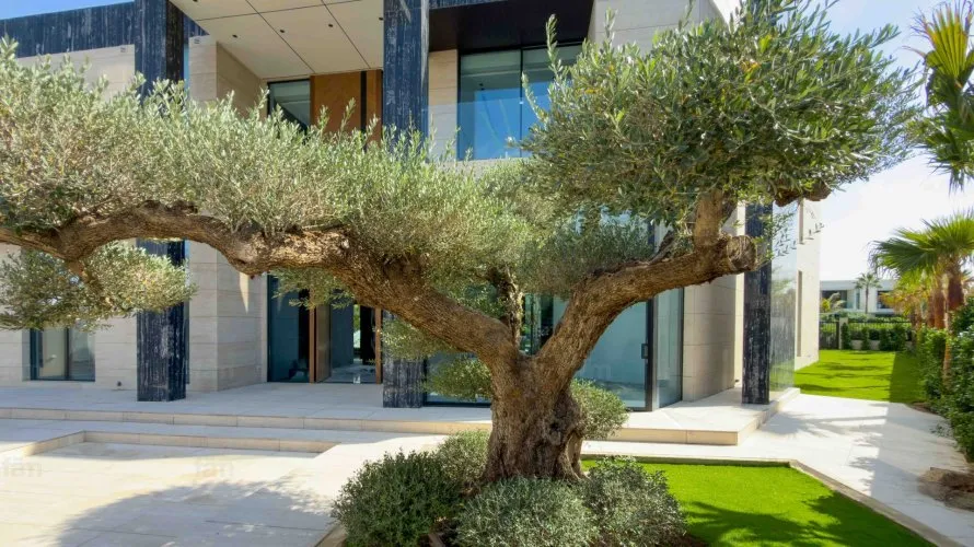 6 bedrooms villa for sale , Dubai Hills Estate, Dubai, UAE No. 668 № 18